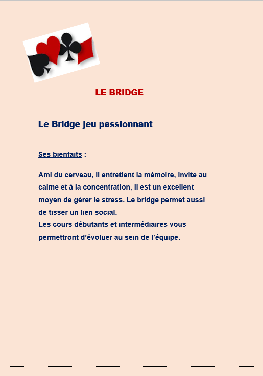 Image bridge